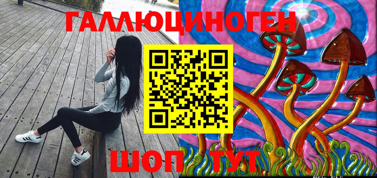 Ноябрьск  Псилоцибиновые грибы Psilocybine cubensis  Вход с VPN 